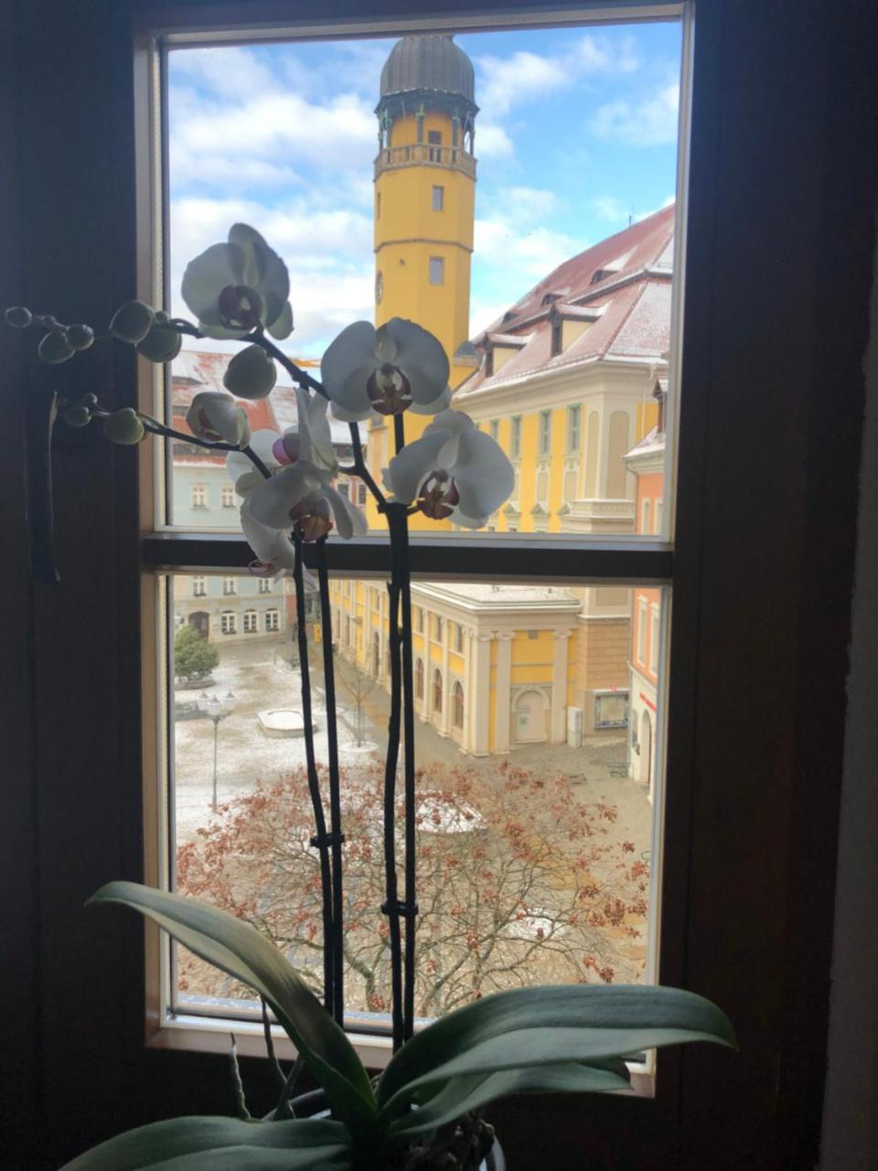 Zum Handtuch Bautzen Extérieur photo